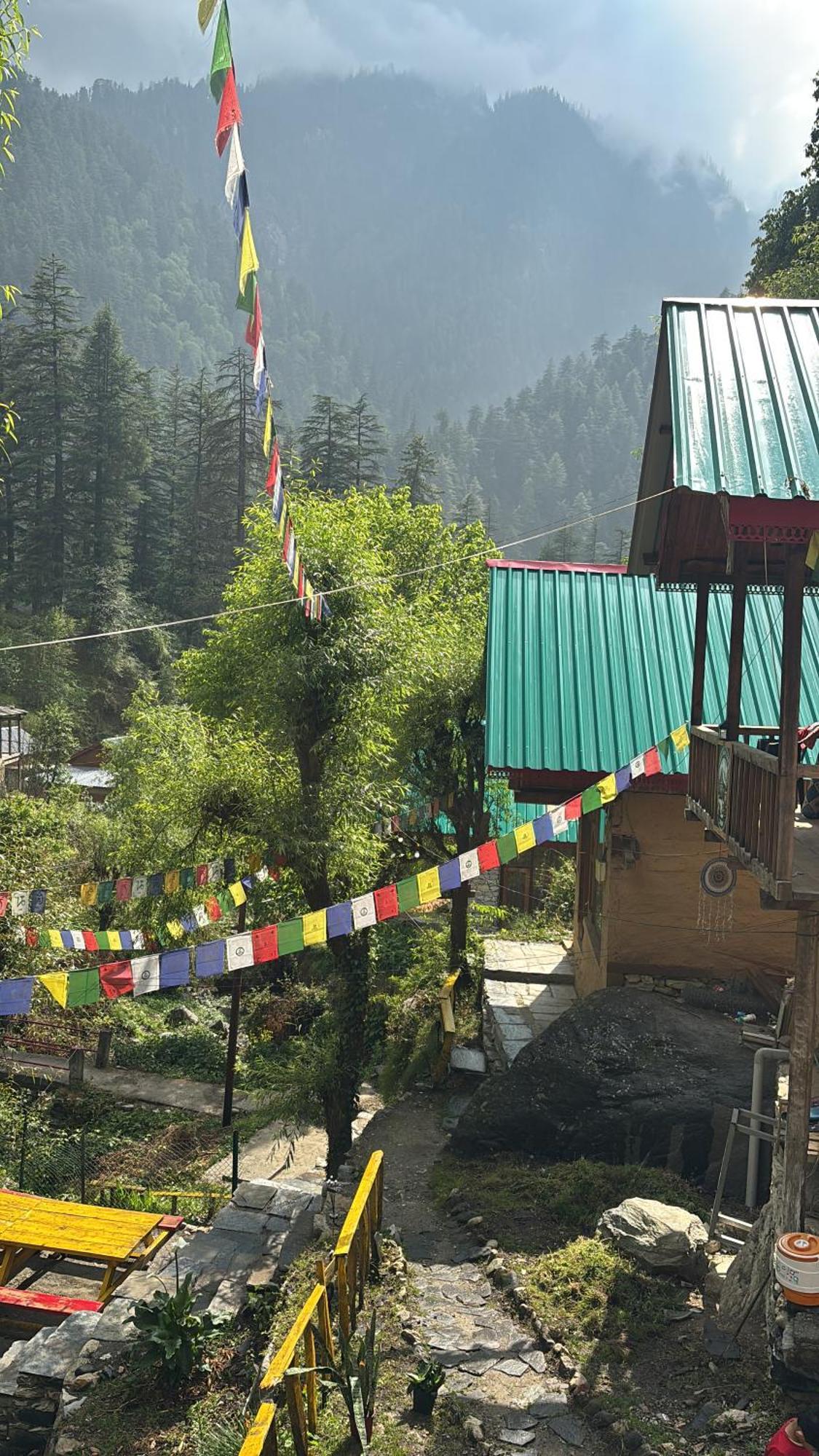 The Cozy Cabin, Jibhi Banjār Zewnętrze zdjęcie